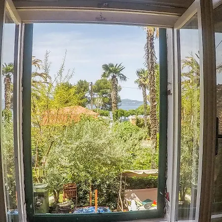 Beachfront Hula Hula * Ζαντάρ